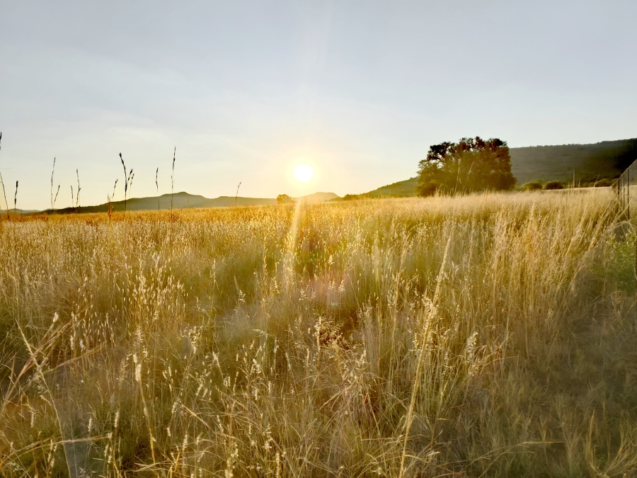 Commercial Property for Sale in Buffelsfontein A H North West